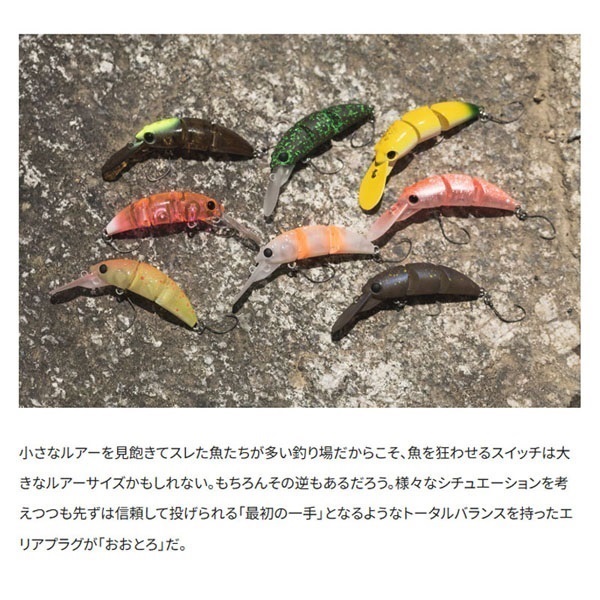 CARDIFF  おおとろ 45F